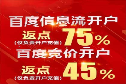 百度竞价代运营成功案例分享